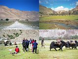 5 3 Leaving Peruche On Way to Kharta, Lunch, Old Tibetan Man With His Yaks After driving from Tingri over the Pang La, we turned left at Peruche and headed towards Kharta. We stopped for lunch on a grassy field next to the Dzakaa Chu River with plenty of sheep grazing quietly. We watched as wrinkled old Tibetan man led his yaks past us.